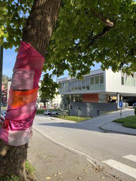 Rožnati oktober – mesec ozaveščanja o raku dojk (2)